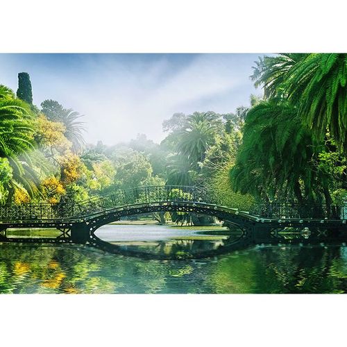 366x254cm Giant Wallpaper mural photo wall decor Bridge in the Jungle