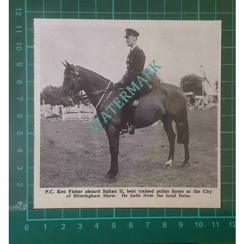 C2655) PC Ken Fisher On Police Horse Sultan II Birmingham Show - 1968 Clip