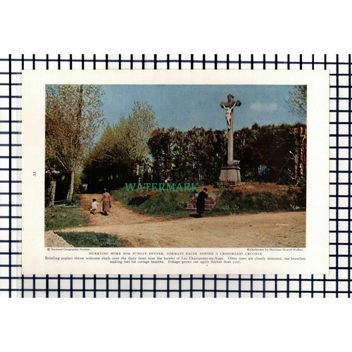 (8038) Pithiviers France / Les Champeaux-en-Auge - 1940 Cutting