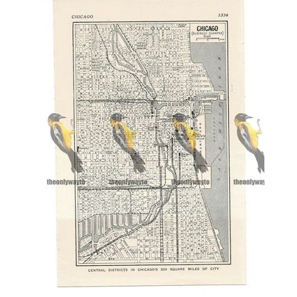 Chicago, Central Districts Map, USA, Book Illustration c1920