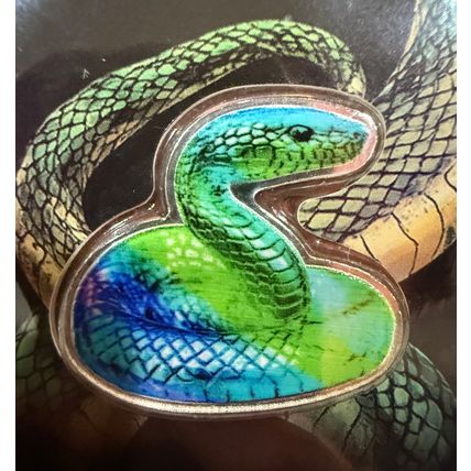 5 gram 2025 Silver Lunar Year of the Snake .999 Fine