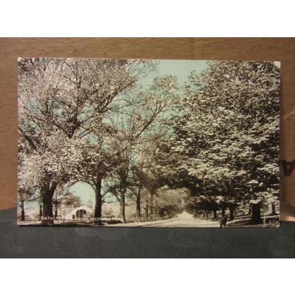 AVENUE, ROYAL VICTORIA PARK, BATH.SOMERSET. unused antique postcard =