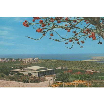Haifa Winston Churchill Institute Israel Postcard