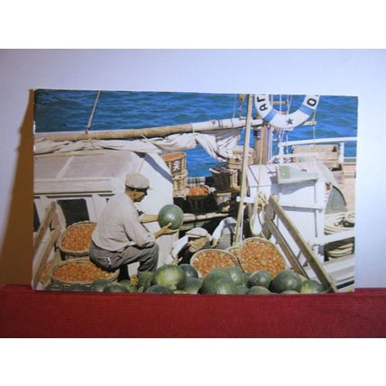 LOADING MELONS & TOMATOES, KOS, Greece unused postcard /