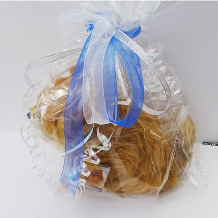 BLACK CAT 12" HAND MADE TOY PERSONALISED, GIFT WRAPPED OR AS IS