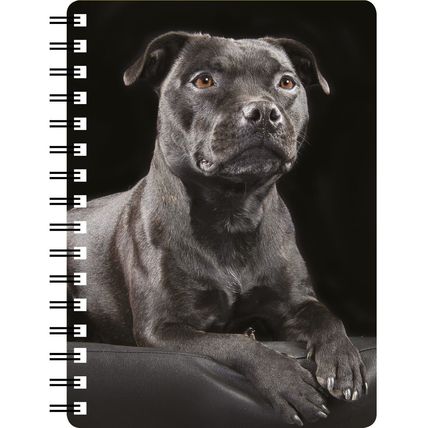 Black Staffordshire Bull Terrier laying down amazing 3D Notebook