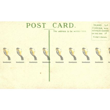 Tettenhall Road, Wolverhampton, Staffs, Rare Postcard, 1900s