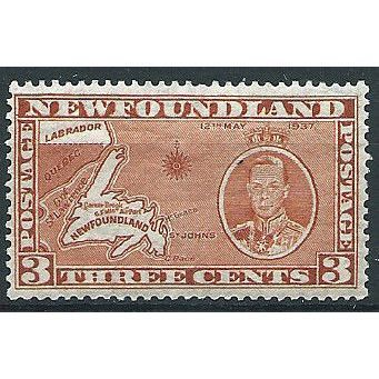 Newfoundland 1937 SG258 3c Orange-Brown Coronation Mounted Mint .. ..