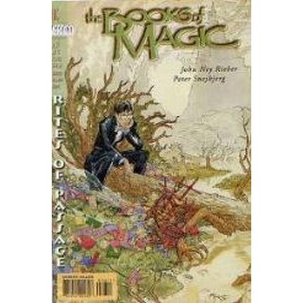 Books of Magic (Vol 1) # 036 NM MODERN AGE COMICS