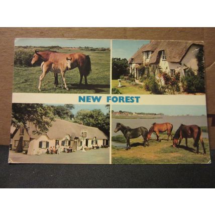 NEW FOREST, multiview. used vintage postcard by Dennis 1974 pm L.3114 =