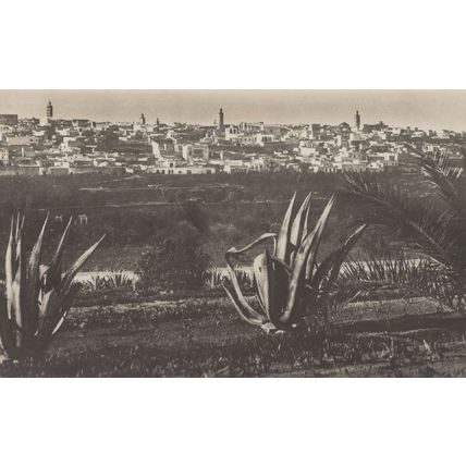 Meknes La Medina Morocco Real Photo Postcard