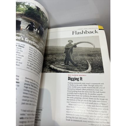 National Geographic Magazine November 2004 Was Darwin Wrong Vintage Collectible
