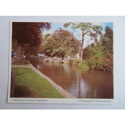 Millennium Gardens, Congresbury, Somerset Postcard