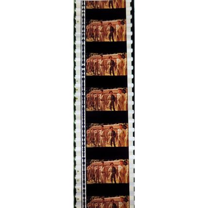 Pk DAU - B - MIX - B 050x . - 1 STRIP OF 5 - 35MM FILM CELLS. ( MCML )