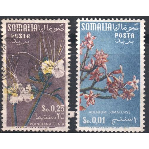 Italian Somaliland 1955 - SG284 - 1c & SG290e 0.25c - Floral Designs Used & MNH