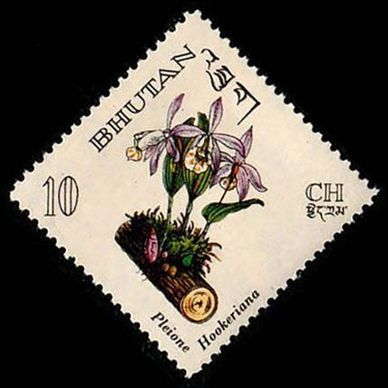 Bhutan 1967 Flowers 10ch MNH Stamp