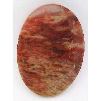 Petrified Wood Freeform Gemstone Cabochon 43