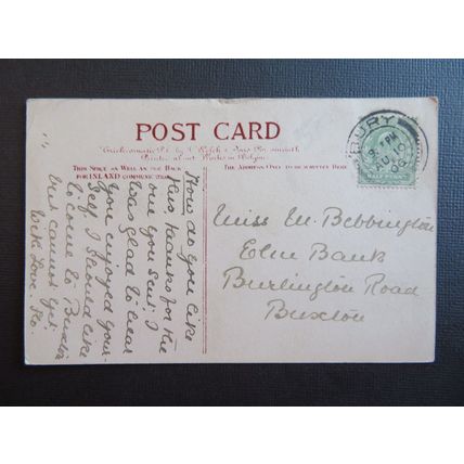 Trichromatic by J Welch, In Love's Lane Novelty Vintage Postcard