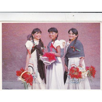Mexico Typical Costumes Postcard used VGC