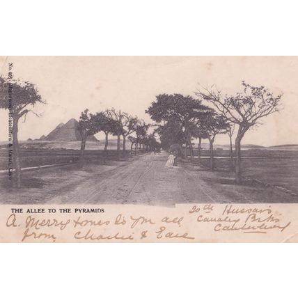 Allee To The Pyramids Egypt Old 1904 Postcard