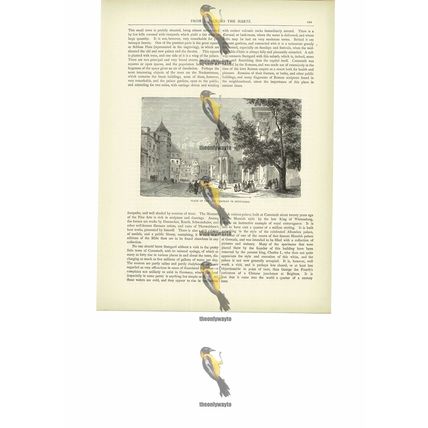 Place Of Old Chateau, Stuttgard, Germany, Book Illustration (Print), c1880