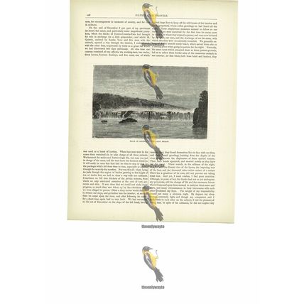 Falls Of Gouina, Senegal River Rainy Season, Mali, Book Illustration, c1880