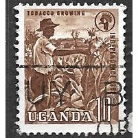 UGANDA 1962/1964 SG 100 - #2 fine used (o)