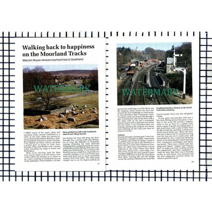 (8250) Goathland Yorkshire - 1990s Article