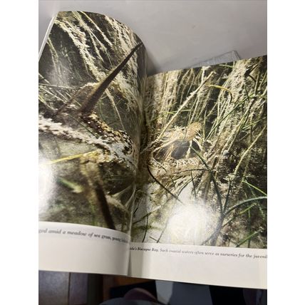 National Geographic Magazine June 1975 Andalusia of Spain - Vintage Collectable