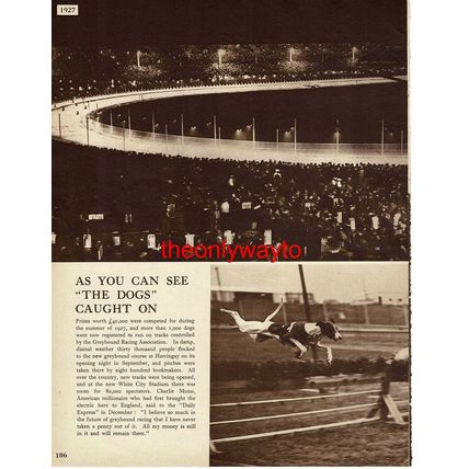 Greyhound Racing Begins at Harringay & White City, 1927, Book Illustration, 1938