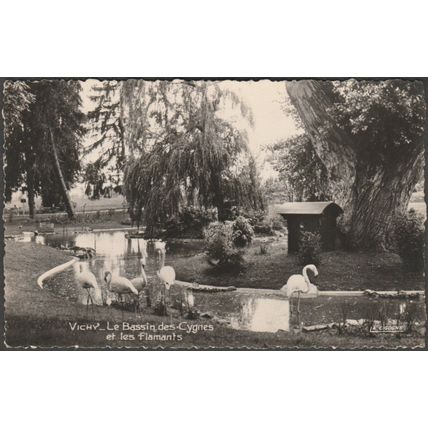 Le Bassin des Cygnes et les Flamants, Vichy, 1957 - La Cigogne Photo CPSM