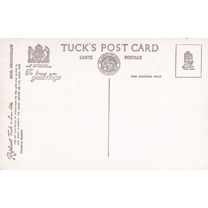 EC782 NORWICH CATHEDRAL . R/P POSTCARD