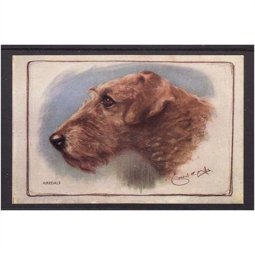 AIREDALE DOG SALMON SERIES UNUSED