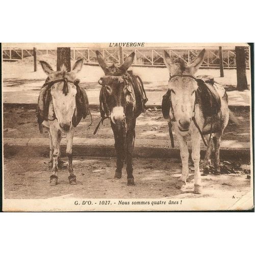 Vintage France Postcard - Nous sommes quatre anes (We are four donkeys)