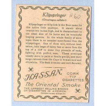 Tobacco Card ~ Company: American Tobacco Company Brand: Hassan Cork Tip Ci~60