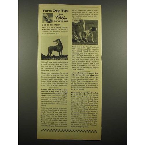 1964 Purina Dog Chow Ad - Farm Dog Tips from Tex