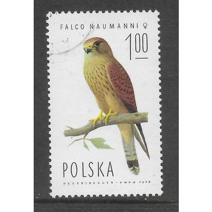 POLAND 1975 BIRD OF PREY 1Z FEMALE LESSER KESTREL SG2342 FINE USED #3
