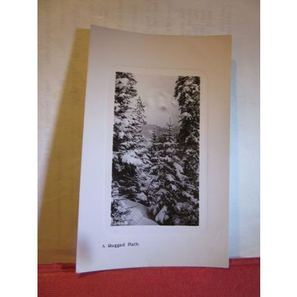 A RUGGED PATH unused antique postcard by Davidson Bros. RP =