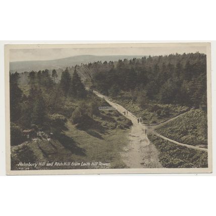 Holmbury Hill and Pitch Hill from Leith Hill Tower Surrey mid-late 20th C. RPPC