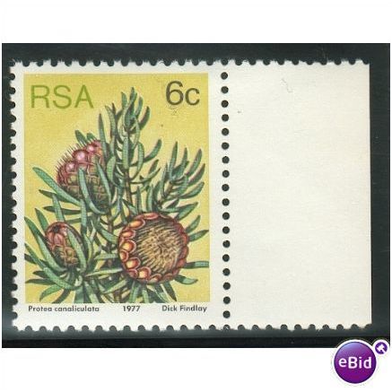 South Africa 1977 - SG 419b - 6c P. canaliculita MNH