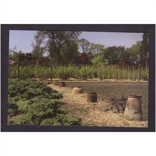 THE LOST GARDENS OF HELIGAN - VEGETABLE GARDEN - NICE COLOURED PHOTO UNUSED#7