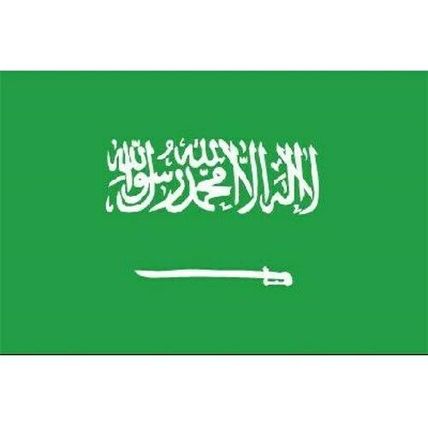 NEW Saudi Arabia NYL-GLO 3' x 5' Quality Nylon Flag, 197180