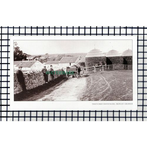 C7109) Skiplay Grange - Cutting