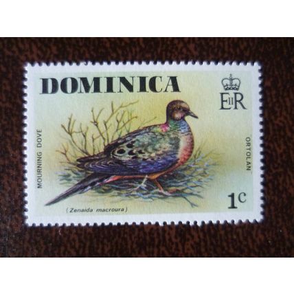 Dominica 1976 Wild Birds Mourning Dove 1c mint stamp SG524