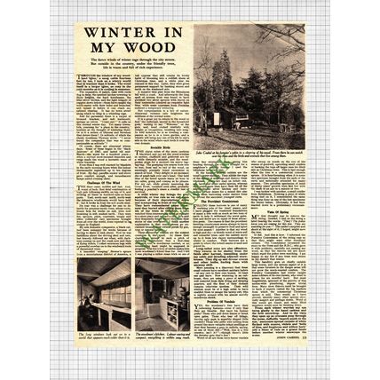 John Cashel Forester's Cabin - 1949 Cutting