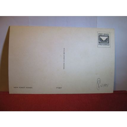 NEW FOREST PONIES unused postcard PT2837 dated 1971 #