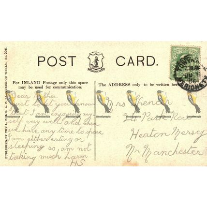 Talyllyn Lake Near Towyn, Wales, LP & FAP Spa Series Postcard, 1906