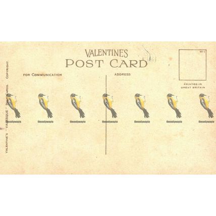 Tal-y-Llyn Pass, Wales, Valentines Valesque Postcard, 1930
