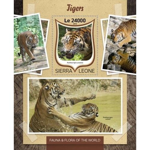 SIERRA LEONE 2016 SHEET MNH TIGERS WILD CATS WILDLIFE FELINES RAUBKATZEN 7A