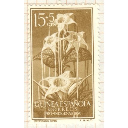 Spanish Guinea 1956 - 15+5c brown - Orchid - unused